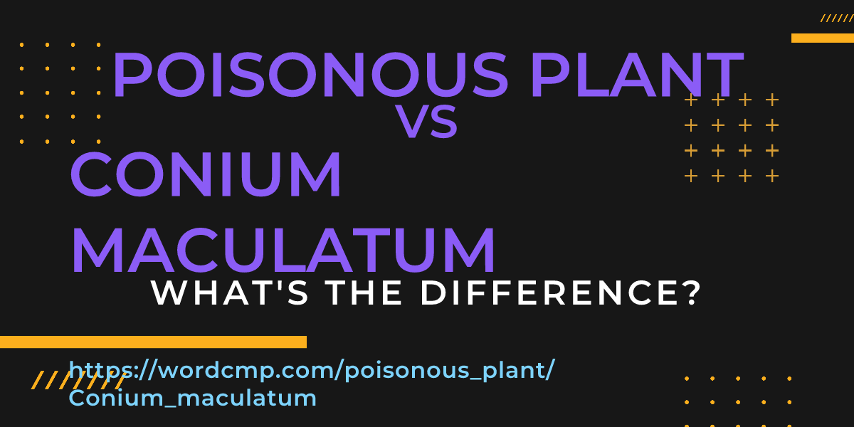 Difference between poisonous plant and Conium maculatum