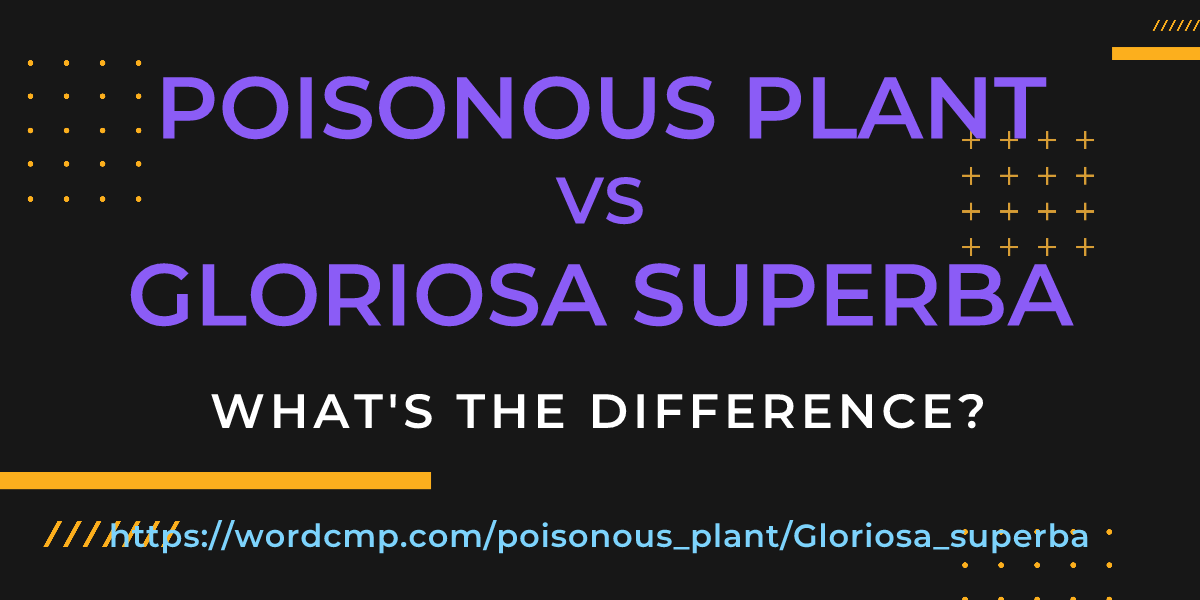 Difference between poisonous plant and Gloriosa superba