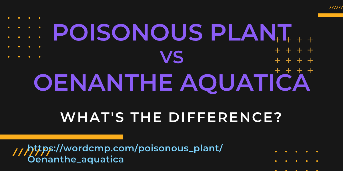 Difference between poisonous plant and Oenanthe aquatica