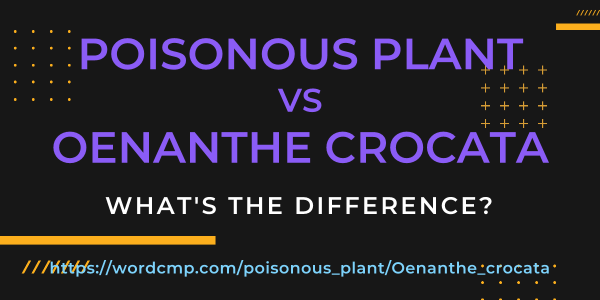 Difference between poisonous plant and Oenanthe crocata