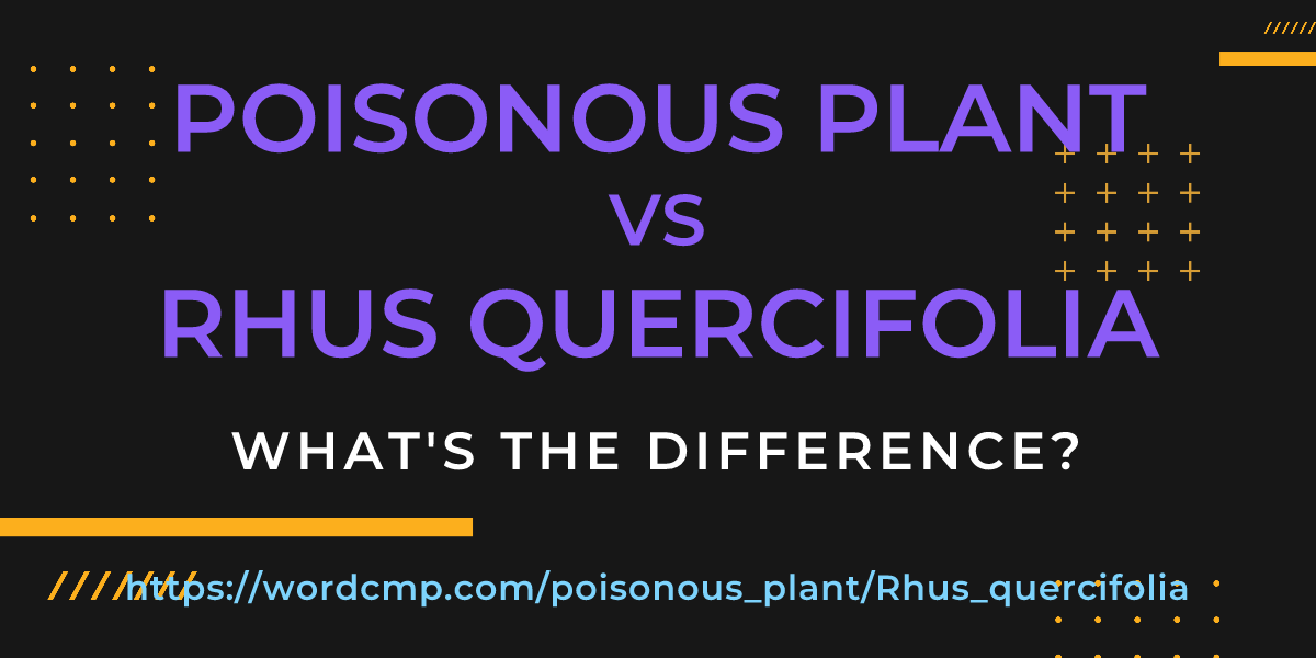Difference between poisonous plant and Rhus quercifolia