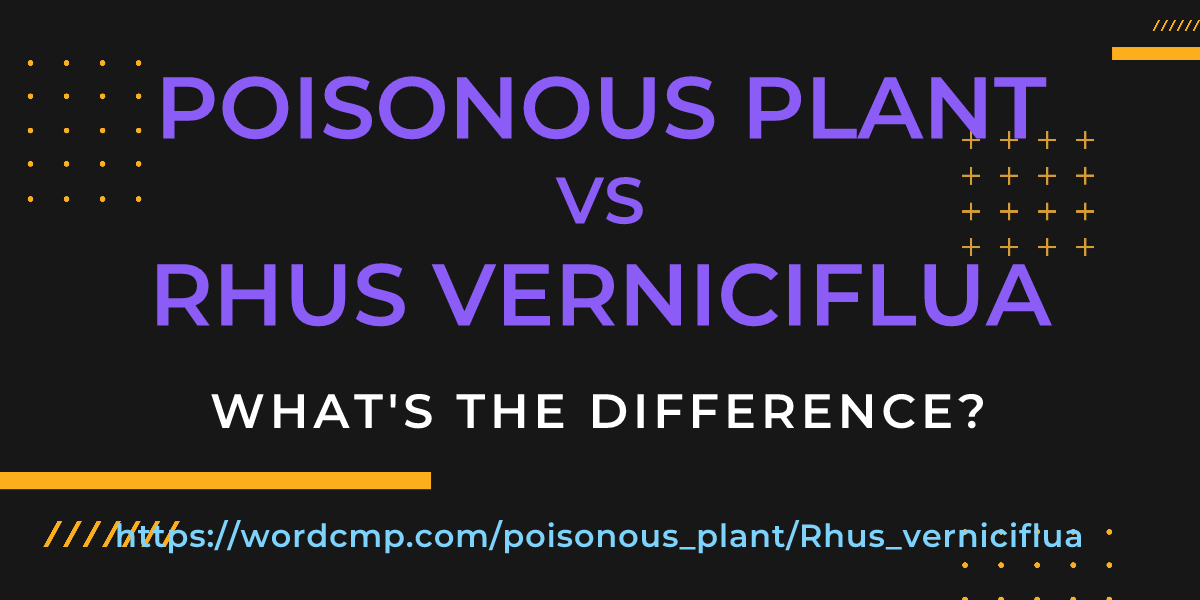 Difference between poisonous plant and Rhus verniciflua