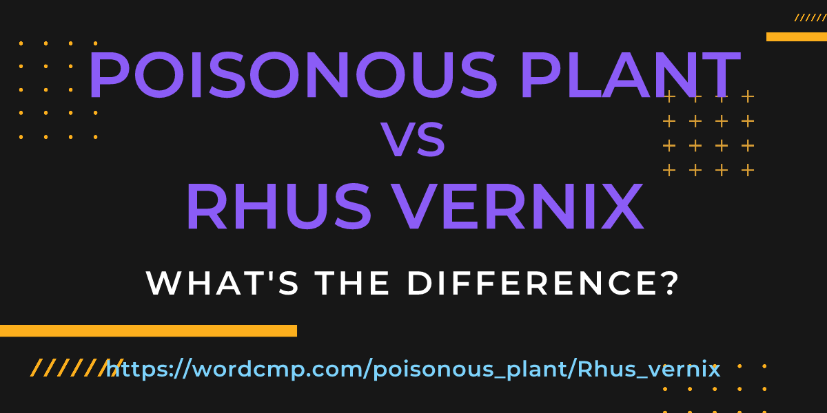 Difference between poisonous plant and Rhus vernix