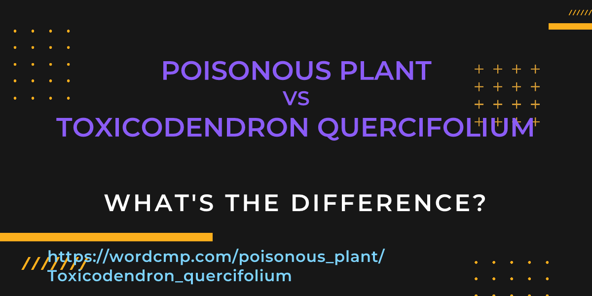 Difference between poisonous plant and Toxicodendron quercifolium