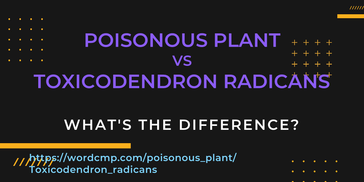 Difference between poisonous plant and Toxicodendron radicans
