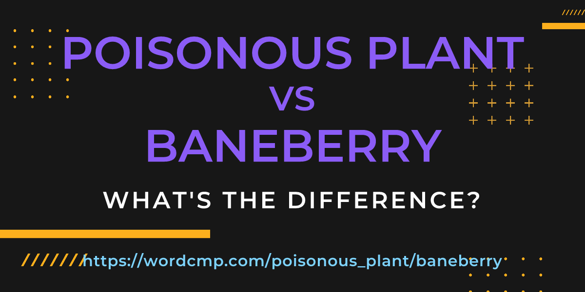 Difference between poisonous plant and baneberry