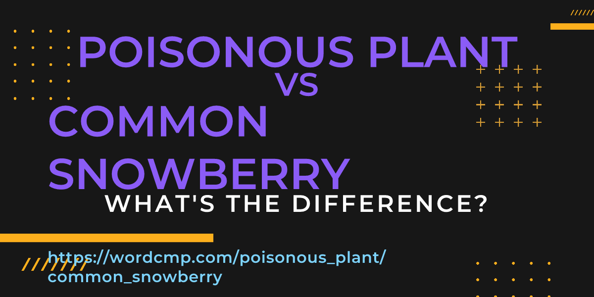 Difference between poisonous plant and common snowberry