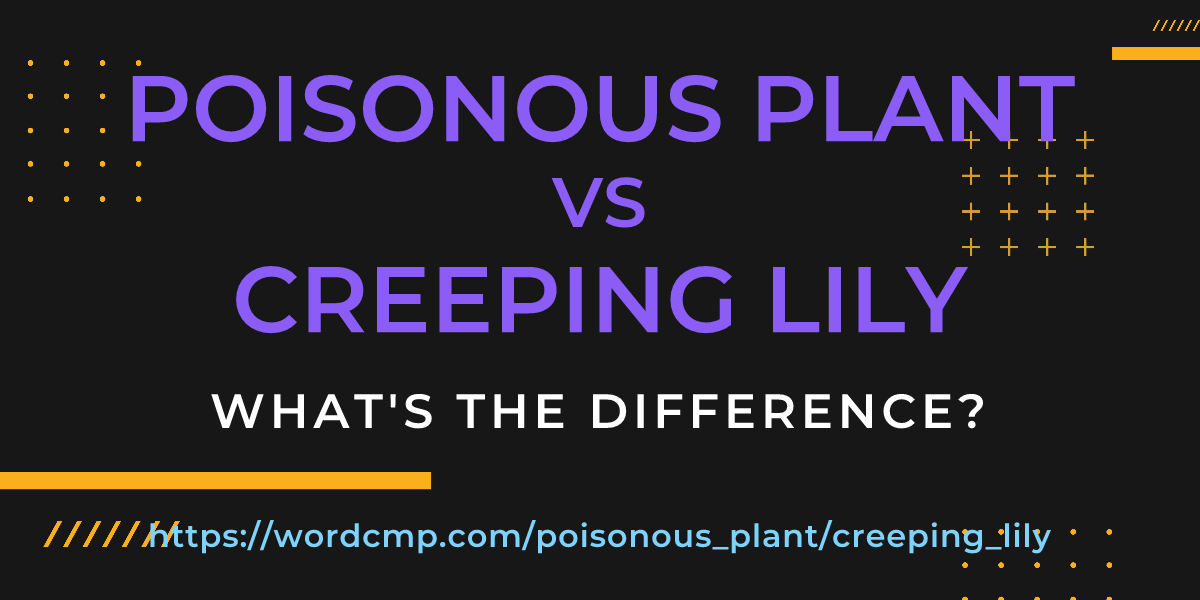Difference between poisonous plant and creeping lily