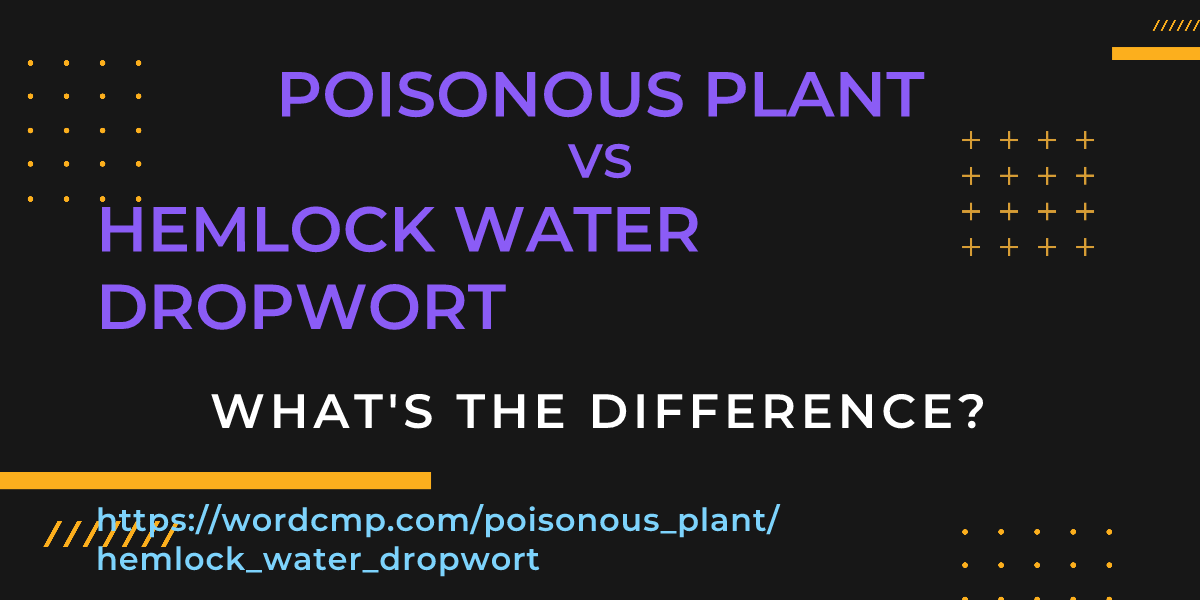 Difference between poisonous plant and hemlock water dropwort