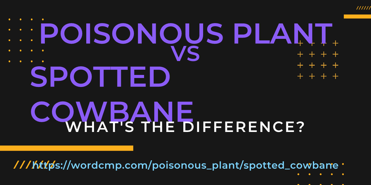 Difference between poisonous plant and spotted cowbane