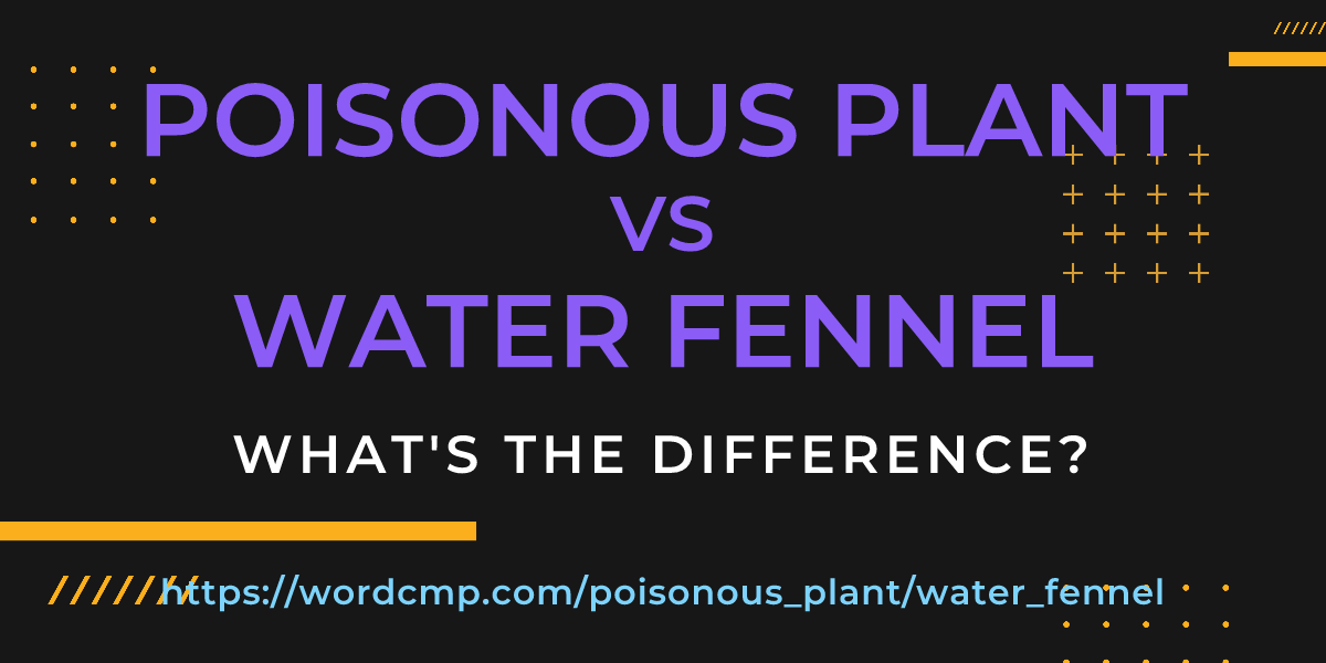 Difference between poisonous plant and water fennel