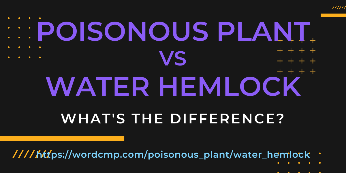 Difference between poisonous plant and water hemlock