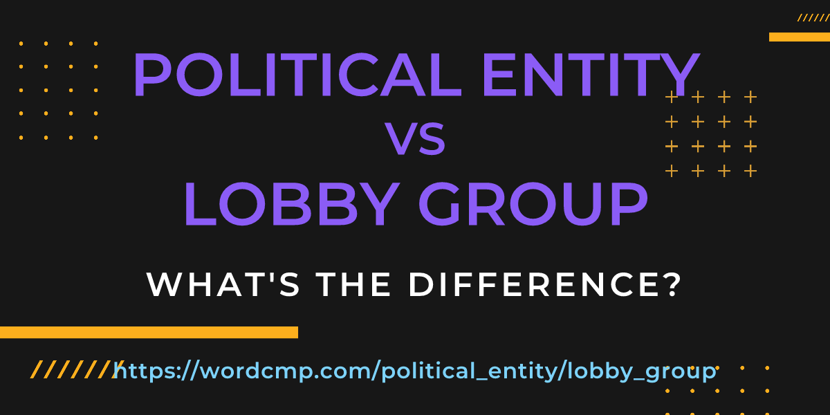 Difference between political entity and lobby group