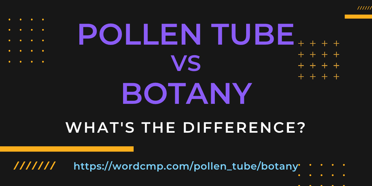 Difference between pollen tube and botany