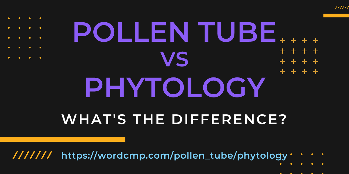 Difference between pollen tube and phytology