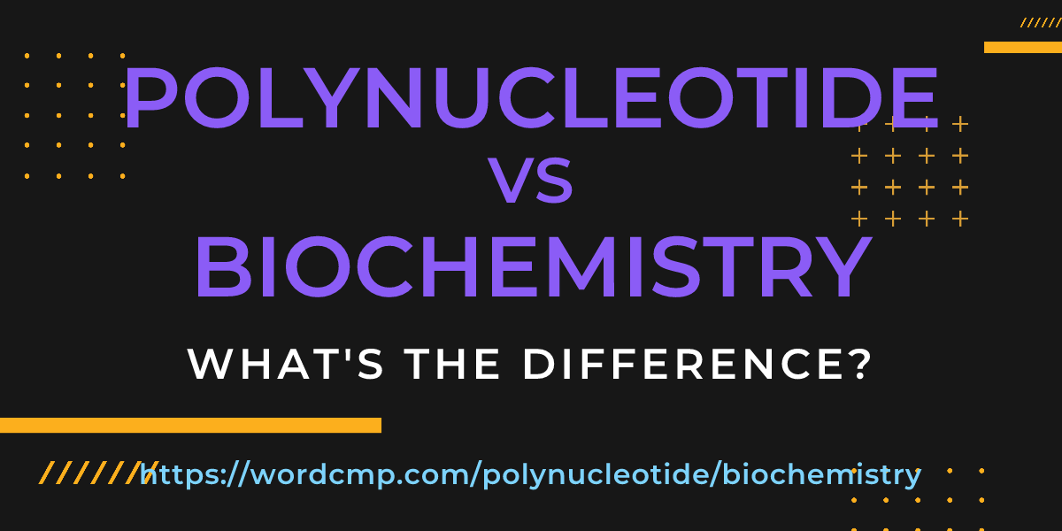 Difference between polynucleotide and biochemistry