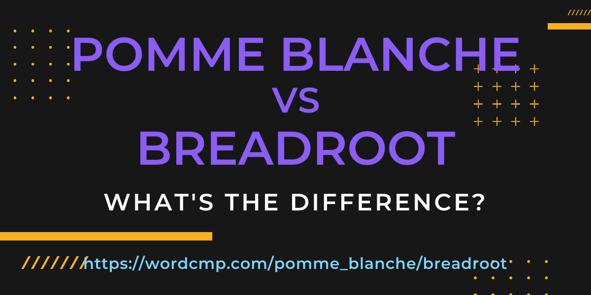 Difference between pomme blanche and breadroot