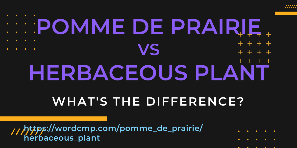Difference between pomme de prairie and herbaceous plant