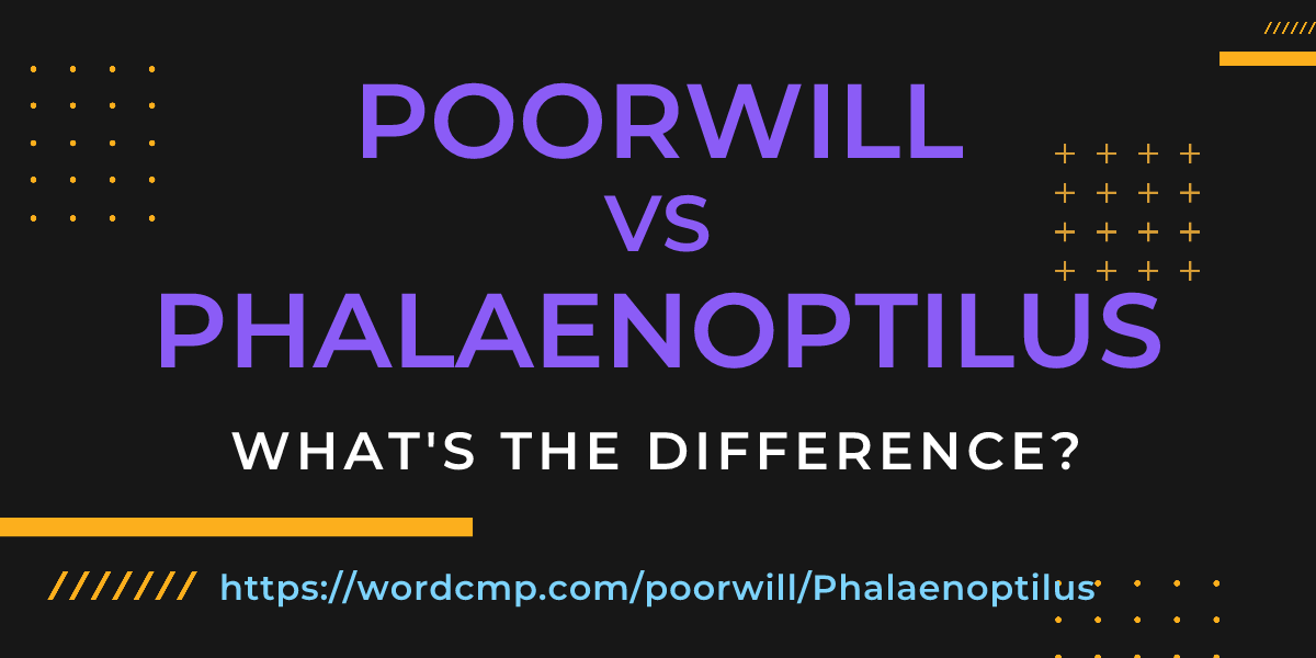 Difference between poorwill and Phalaenoptilus