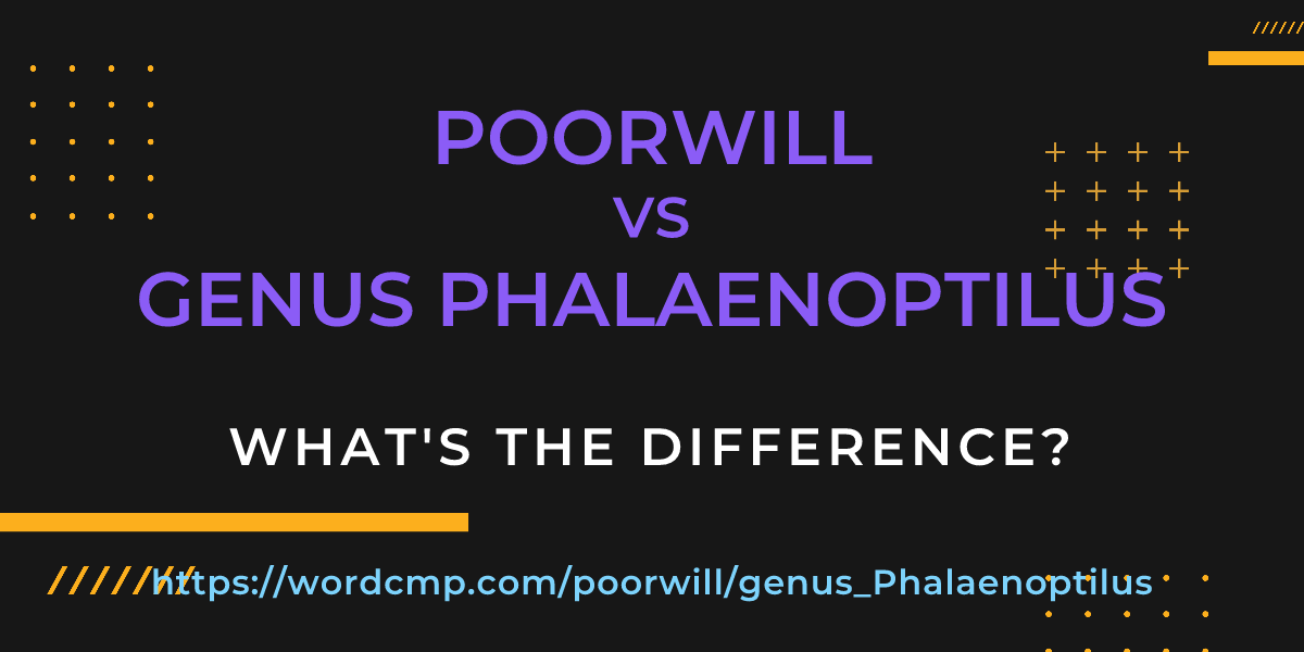 Difference between poorwill and genus Phalaenoptilus