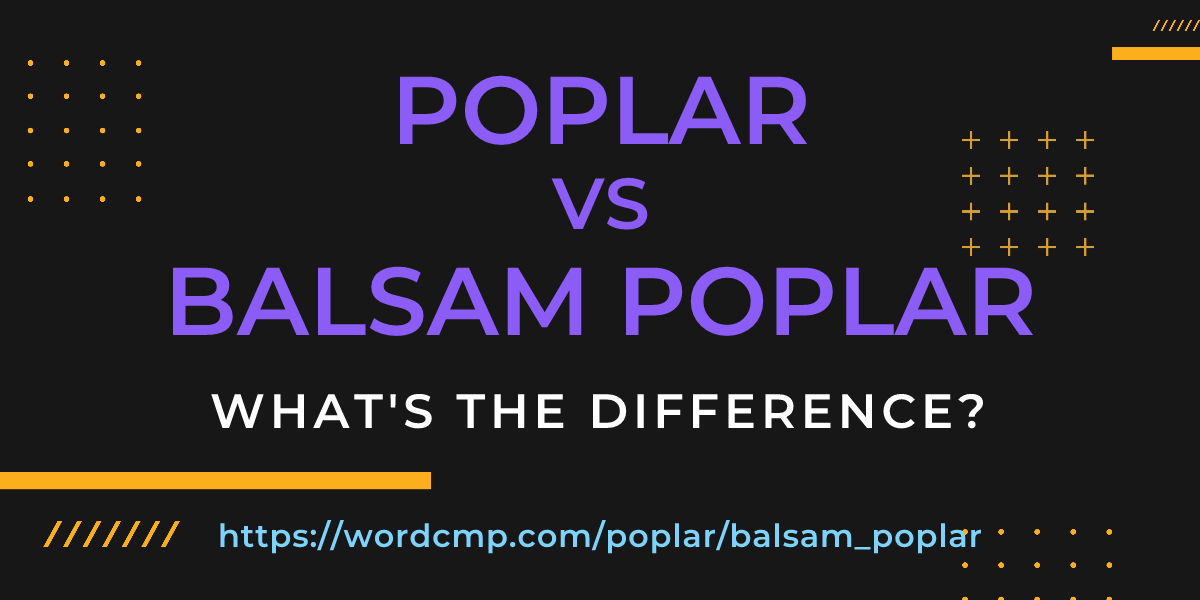 Difference between poplar and balsam poplar
