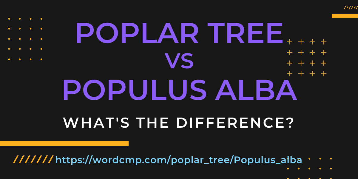 Difference between poplar tree and Populus alba
