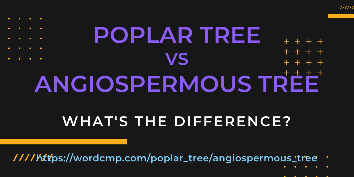 Difference between poplar tree and angiospermous tree