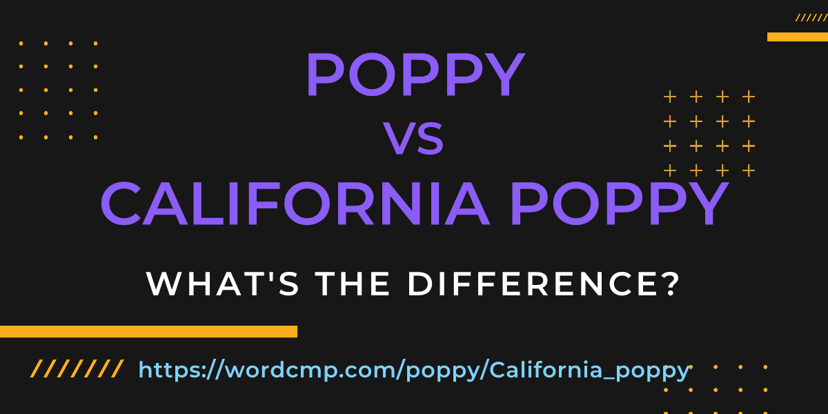 Difference between poppy and California poppy