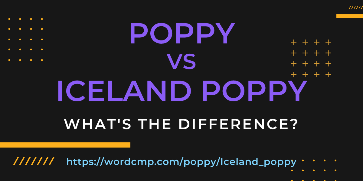Difference between poppy and Iceland poppy