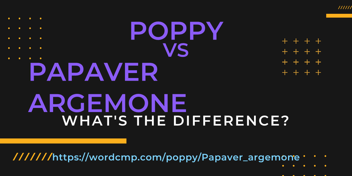 Difference between poppy and Papaver argemone