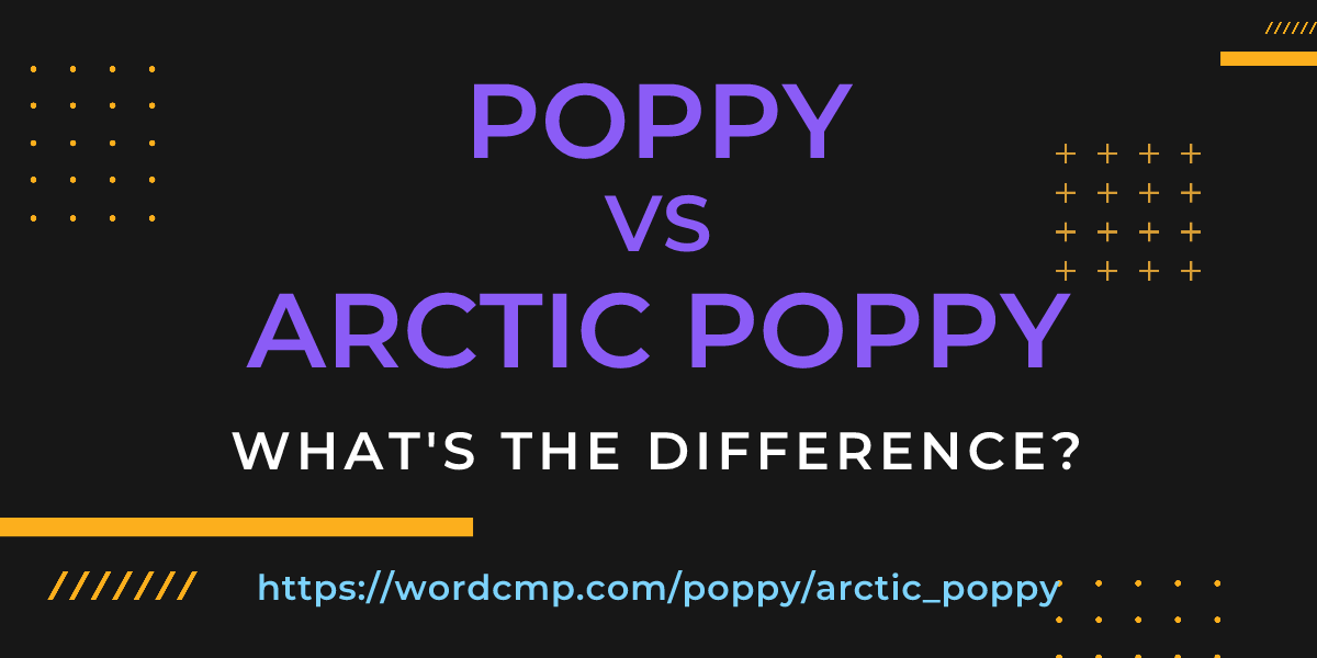 Difference between poppy and arctic poppy