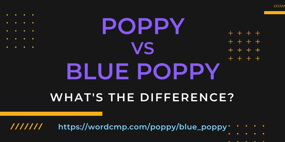 Difference between poppy and blue poppy