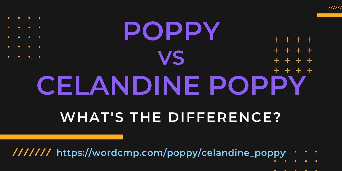Difference between poppy and celandine poppy