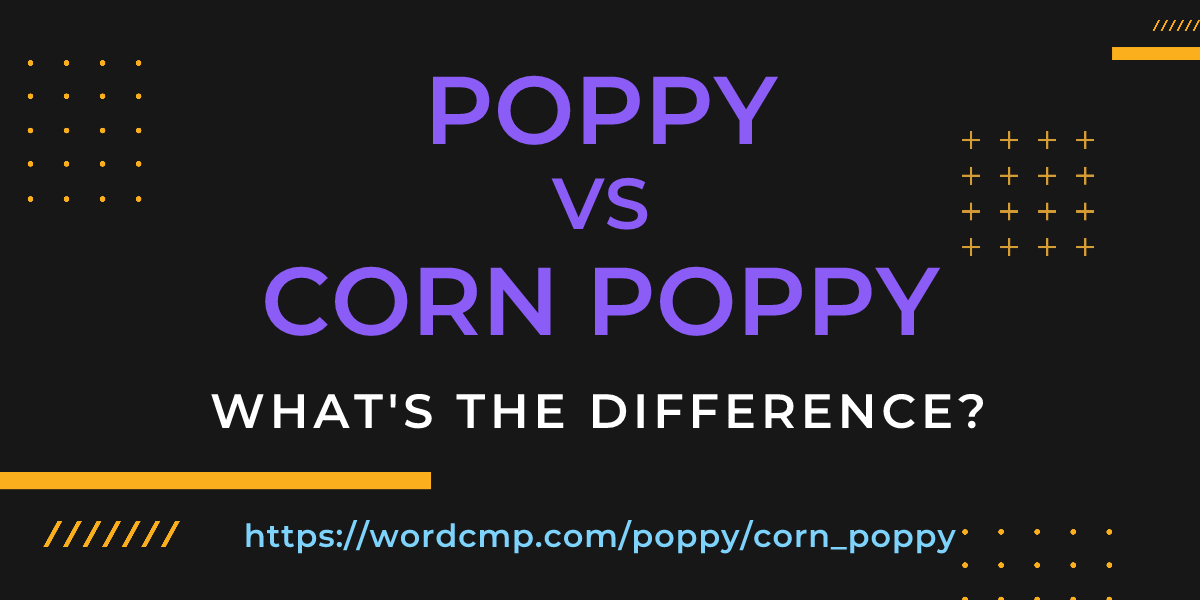 Difference between poppy and corn poppy