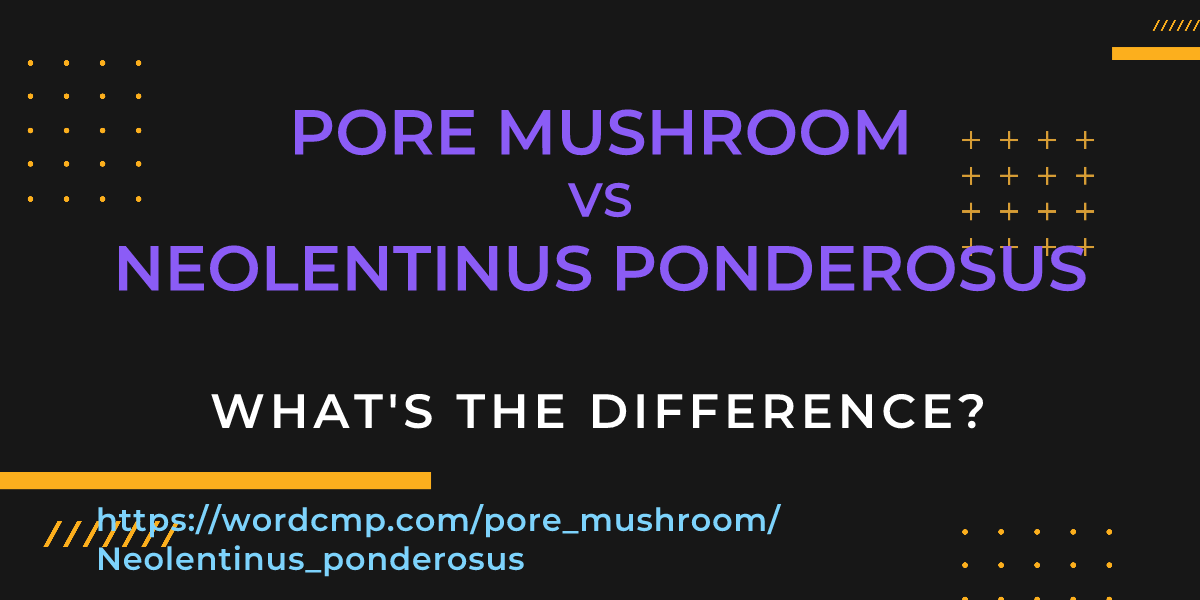 Difference between pore mushroom and Neolentinus ponderosus