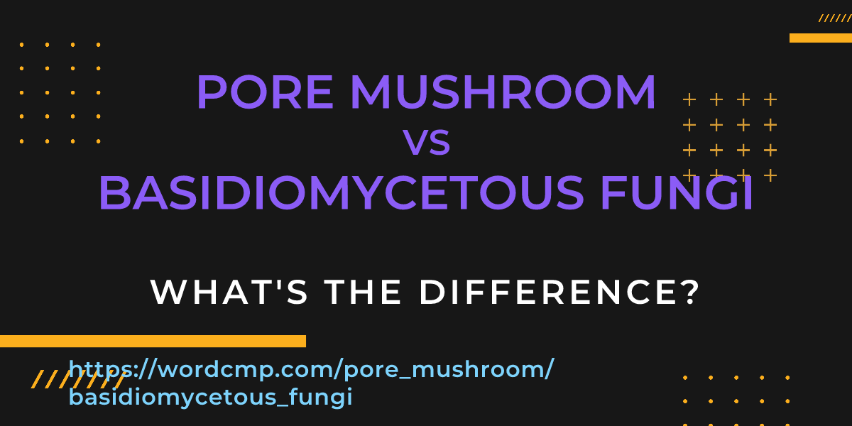 Difference between pore mushroom and basidiomycetous fungi