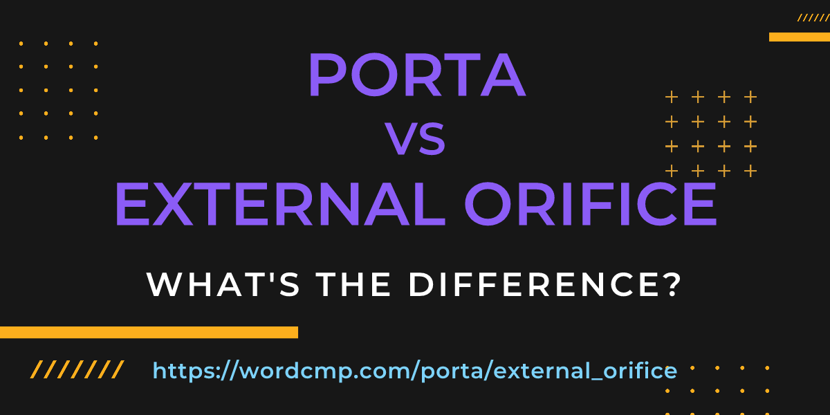 Difference between porta and external orifice