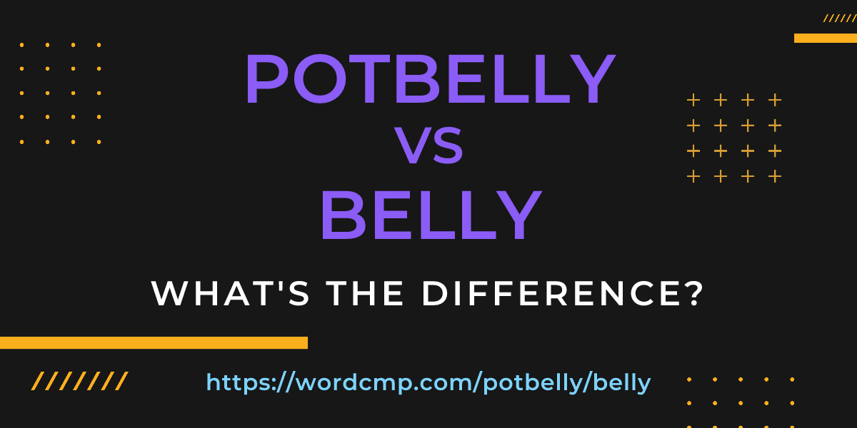 Difference between potbelly and belly