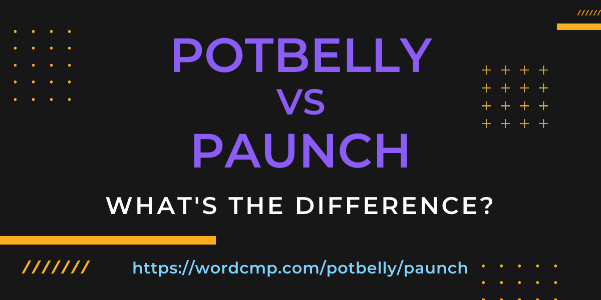 Difference between potbelly and paunch