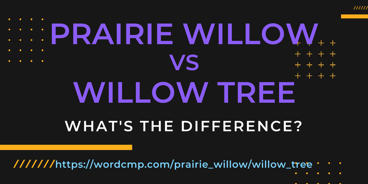 Difference between prairie willow and willow tree