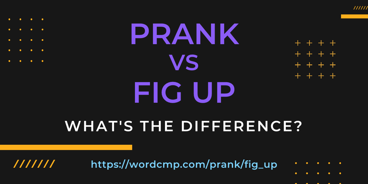 Difference between prank and fig up
