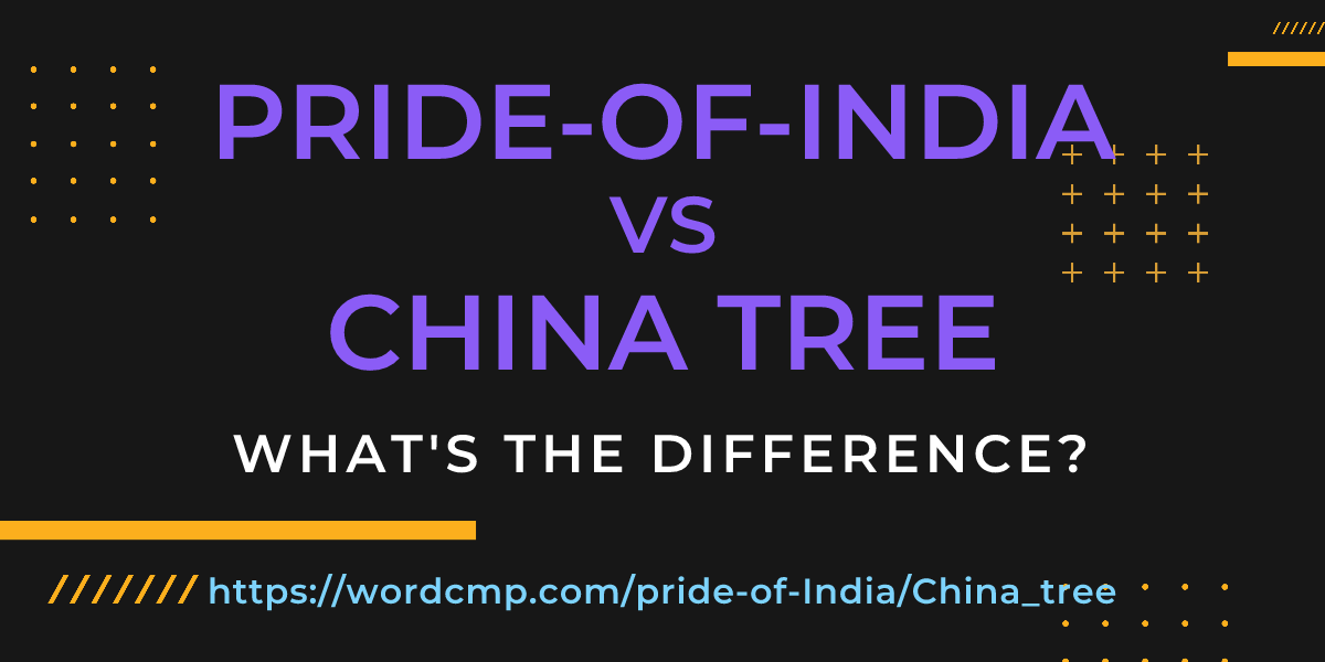Difference between pride-of-India and China tree