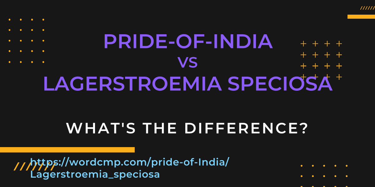 Difference between pride-of-India and Lagerstroemia speciosa