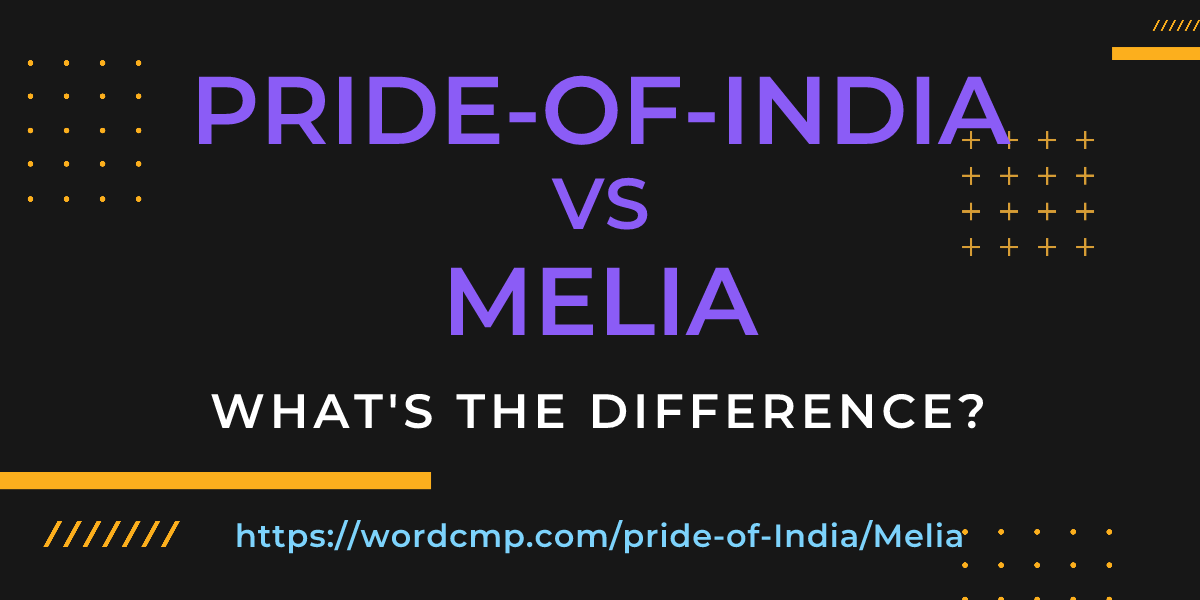 Difference between pride-of-India and Melia