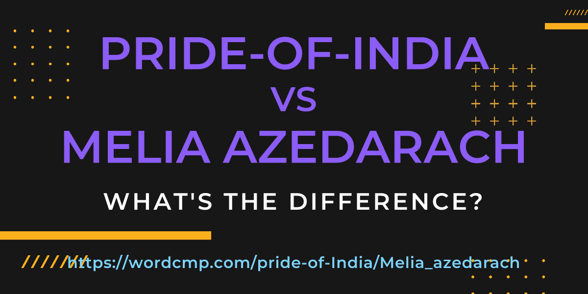 Difference between pride-of-India and Melia azedarach