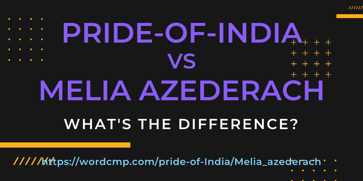 Difference between pride-of-India and Melia azederach
