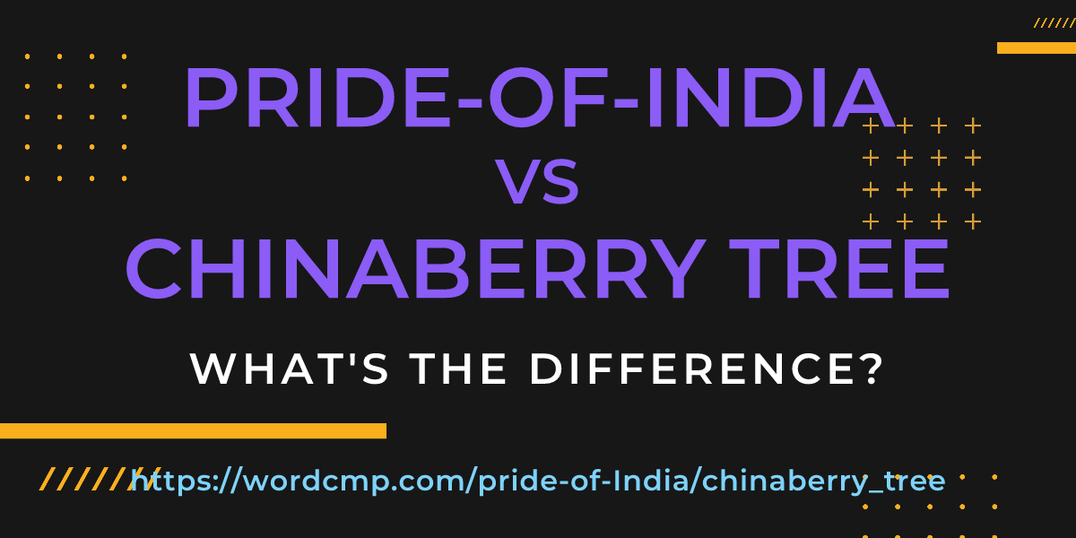 Difference between pride-of-India and chinaberry tree