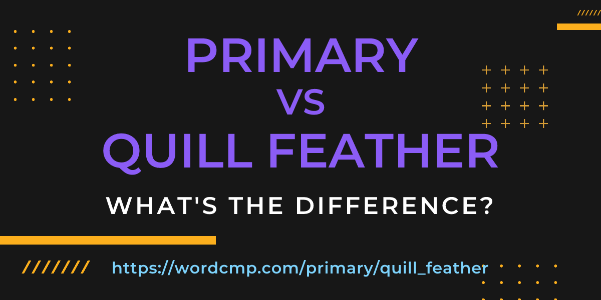 Difference between primary and quill feather
