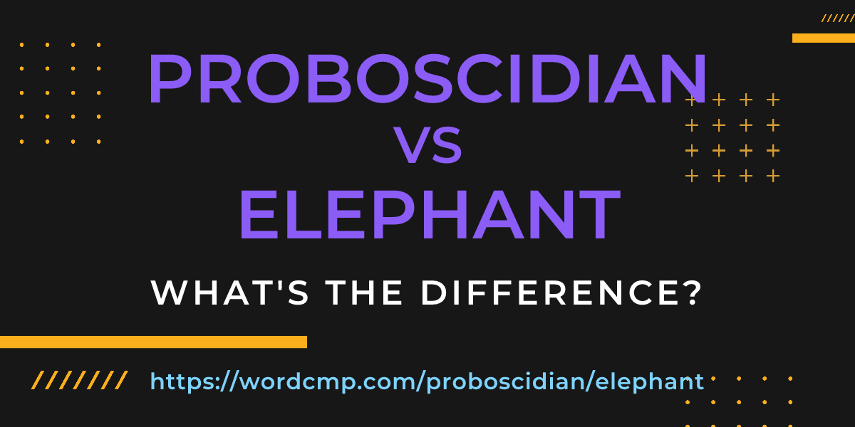 Difference between proboscidian and elephant