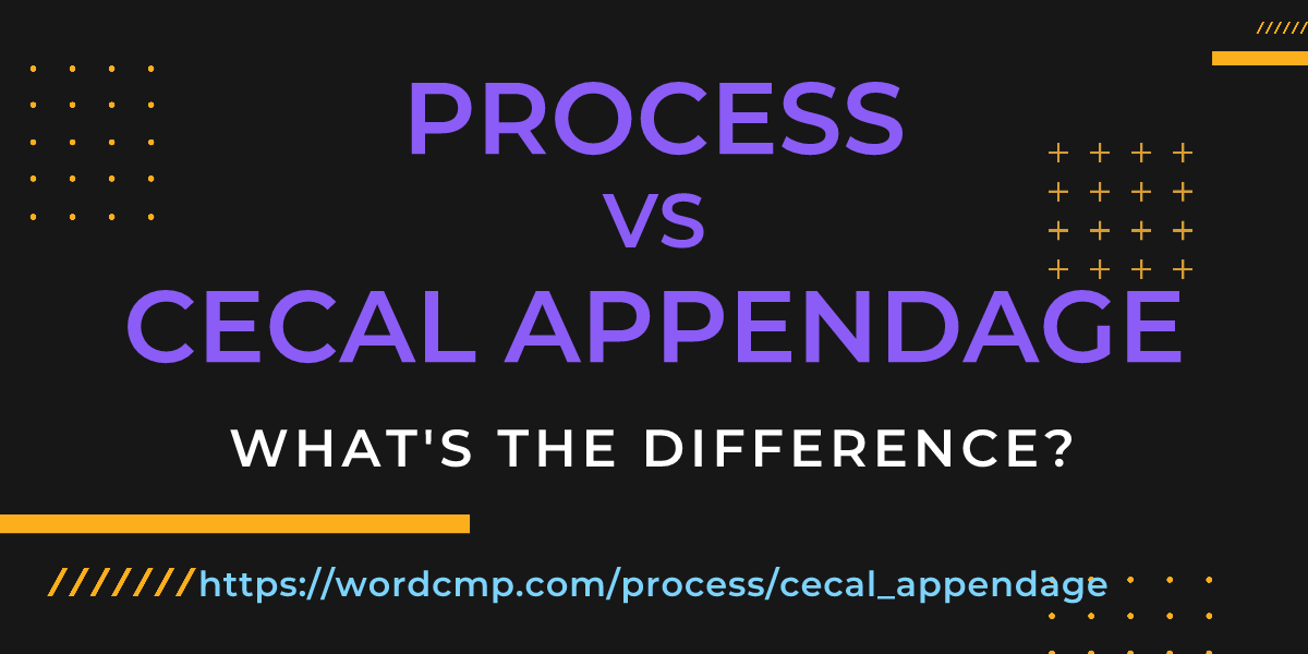 Difference between process and cecal appendage